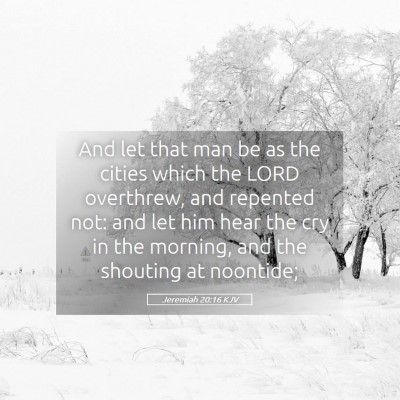 Picture 05 - Jeremiah 20:16 KJV - And let that man be as the cities which the LORD - Bible Verse Picture