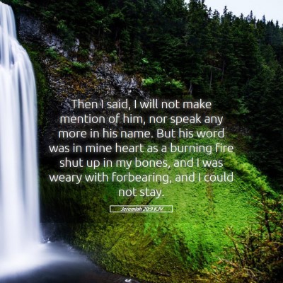 Picture 05 - Jeremiah 20:9 KJV - Then I said, I will not make mention of him, nor - Bible Verse Picture