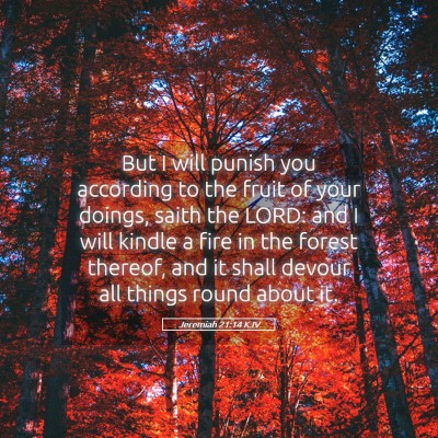 Picture 05 - Jeremiah 21:14 KJV - But I will punish you according to the fruit of - Bible Verse Picture