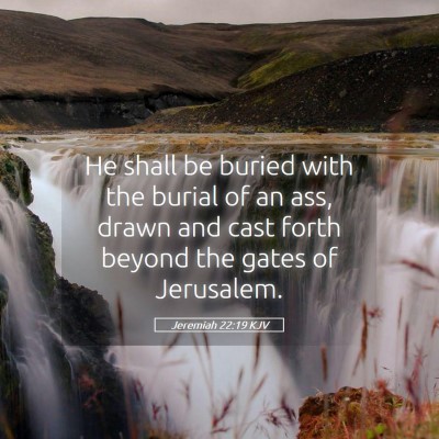 Picture 05 - Jeremiah 22:19 KJV - He shall be buried with the burial of an ass, - Bible Verse Picture