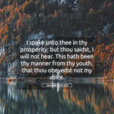 Picture 05 - Jeremiah 22:21 KJV - I spake unto thee in thy prosperity; but thou - Bible Verse Picture