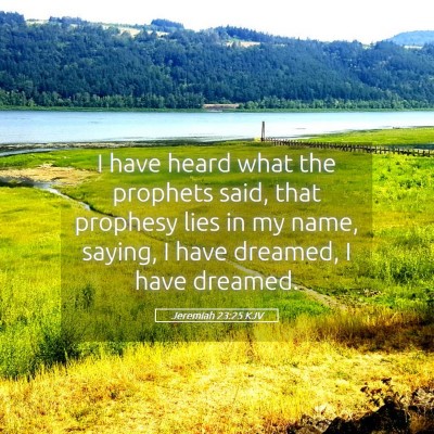 Picture 05 - Jeremiah 23:25 KJV - I have heard what the prophets said, that - Bible Verse Picture