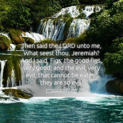 Picture 05 - Jeremiah 24:3 KJV - Then said the LORD unto me, What seest thou, - Bible Verse Picture