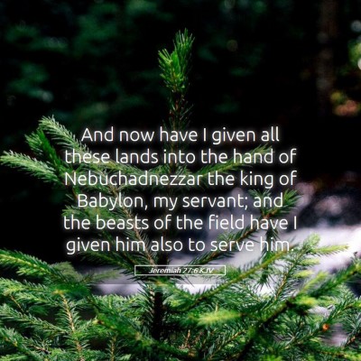 Picture 05 - Jeremiah 27:6 KJV - And now have I given all these lands into the - Bible Verse Picture