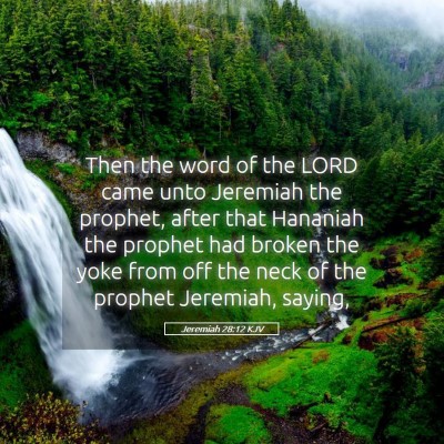Picture 05 - Jeremiah 28:12 KJV - Then the word of the LORD came unto Jeremiah the - Bible Verse Picture