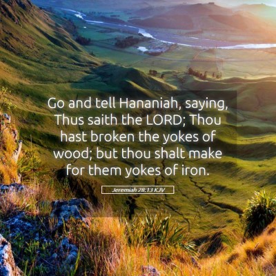 Picture 05 - Jeremiah 28:13 KJV - Go and tell Hananiah, saying, Thus saith the - Bible Verse Picture
