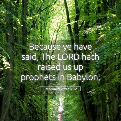 Picture 05 - Jeremiah 29:15 KJV - Because ye have said, The LORD hath raised us up - Bible Verse Picture