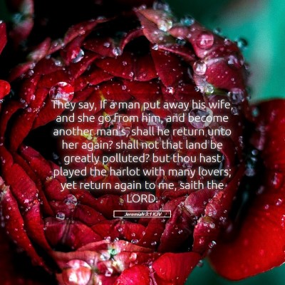 Picture 05 - Jeremiah 3:1 KJV - They say, If a man put away his wife, and she go - Bible Verse Picture