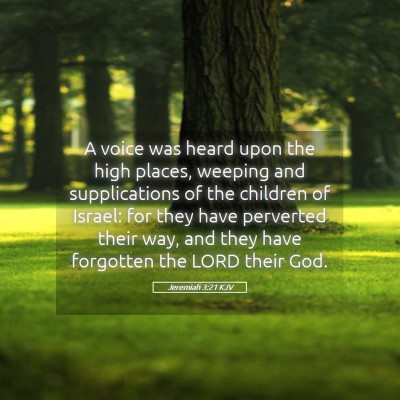 Picture 05 - Jeremiah 3:21 KJV - A voice was heard upon the high places, weeping - Bible Verse Picture