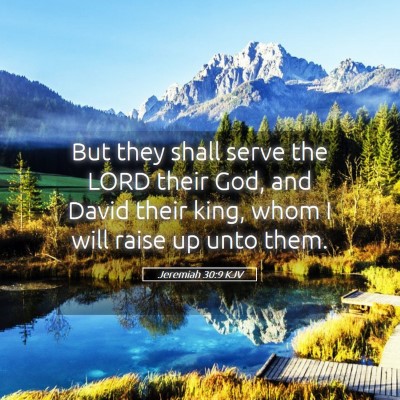Picture 05 - Jeremiah 30:9 KJV - But they shall serve the LORD their God, and - Bible Verse Picture