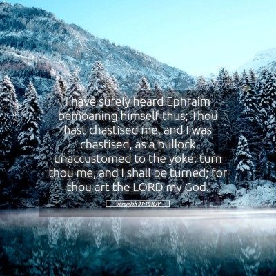 Picture 05 - Jeremiah 31:18 KJV - I have surely heard Ephraim bemoaning himself - Bible Verse Picture
