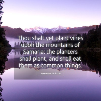 Picture 05 - Jeremiah 31:5 KJV - Thou shalt yet plant vines upon the mountains of - Bible Verse Picture
