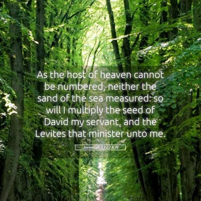 Picture 05 - Jeremiah 33:22 KJV - As the host of heaven cannot be numbered, neither - Bible Verse Picture