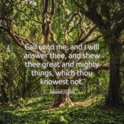 Picture 05 - Jeremiah 33:3 KJV - Call unto me, and I will answer thee, and shew - Bible Verse Picture