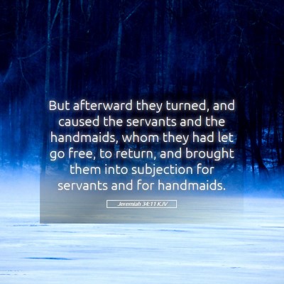 Picture 05 - Jeremiah 34:11 KJV - But afterward they turned, and caused the - Bible Verse Picture