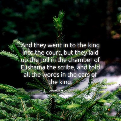 Picture 05 - Jeremiah 36:20 KJV - And they went in to the king into the court, but - Bible Verse Picture