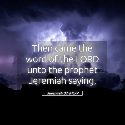 Picture 05 - Jeremiah 37:6 KJV - Then came the word of the LORD unto the prophet - Bible Verse Picture