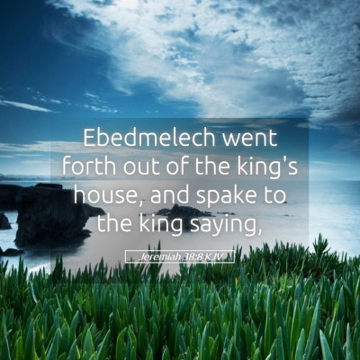 Picture 05 - Jeremiah 38:8 KJV - Ebedmelech went forth out of the king's house, - Bible Verse Picture