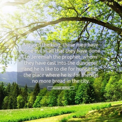 Picture 05 - Jeremiah 38:9 KJV - My lord the king, these men have done evil in all - Bible Verse Picture