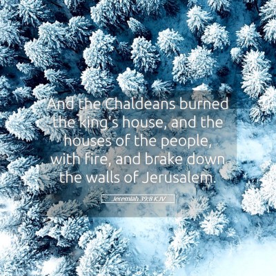 Picture 05 - Jeremiah 39:8 KJV - And the Chaldeans burned the king's house, and - Bible Verse Picture
