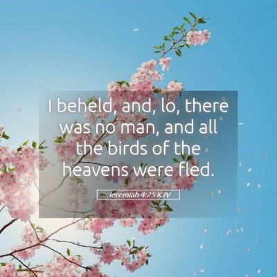 Picture 05 - Jeremiah 4:25 KJV - I beheld, and, lo, there was no man, and all the - Bible Verse Picture