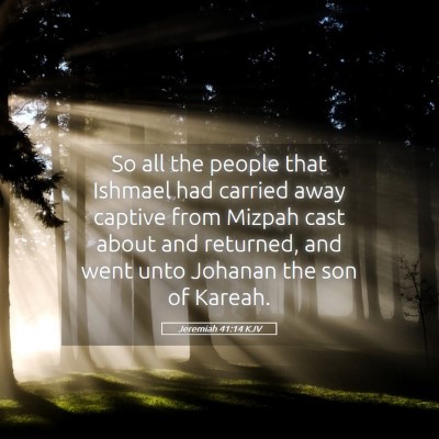 Picture 05 - Jeremiah 41:14 KJV - So all the people that Ishmael had carried away - Bible Verse Picture