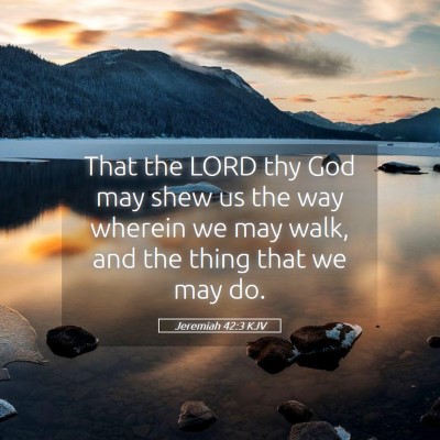 Picture 05 - Jeremiah 42:3 KJV - That the LORD thy God may shew us the way wherein - Bible Verse Picture