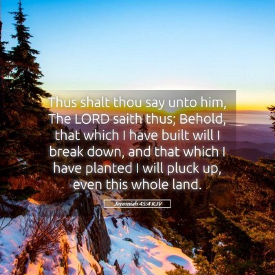 Picture 05 - Jeremiah 45:4 KJV - Thus shalt thou say unto him, The LORD saith - Bible Verse Picture