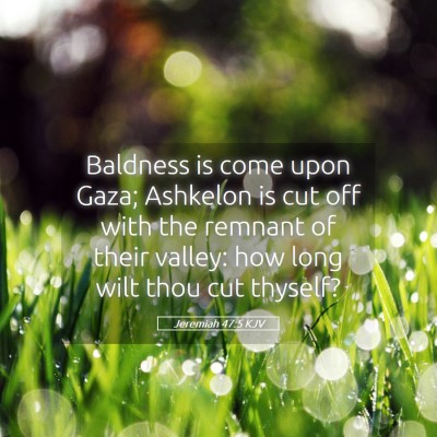 Picture 05 - Jeremiah 47:5 KJV - Baldness is come upon Gaza; Ashkelon is cut off - Bible Verse Picture