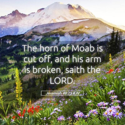 Picture 05 - Jeremiah 48:25 KJV - The horn of Moab is cut off, and his arm is - Bible Verse Picture