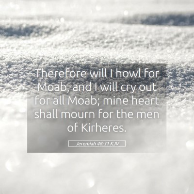Picture 05 - Jeremiah 48:31 KJV - Therefore will I howl for Moab, and I will cry - Bible Verse Picture