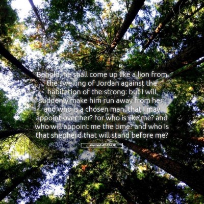 Picture 05 - Jeremiah 49:19 KJV - Behold, he shall come up like a lion from the - Bible Verse Picture