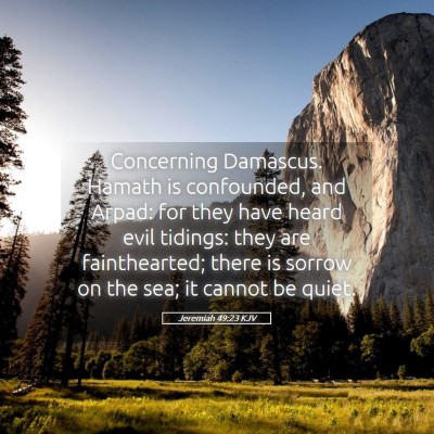 Picture 05 - Jeremiah 49:23 KJV - Concerning Damascus. Hamath is confounded, and - Bible Verse Picture