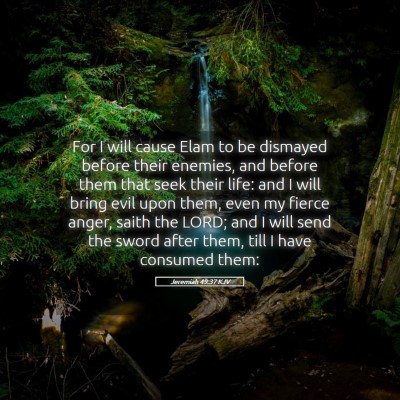 Picture 05 - Jeremiah 49:37 KJV - For I will cause Elam to be dismayed before their - Bible Verse Picture