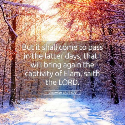Picture 05 - Jeremiah 49:39 KJV - But it shall come to pass in the latter days, - Bible Verse Picture
