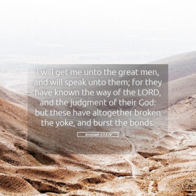 Picture 05 - Jeremiah 5:5 KJV - I will get me unto the great men, and will speak - Bible Verse Picture
