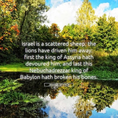 Picture 05 - Jeremiah 50:17 KJV - Israel is a scattered sheep; the lions have - Bible Verse Picture