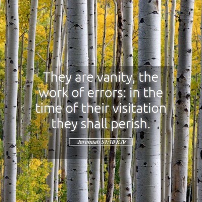 Picture 05 - Jeremiah 51:18 KJV - They are vanity, the work of errors: in the time - Bible Verse Picture