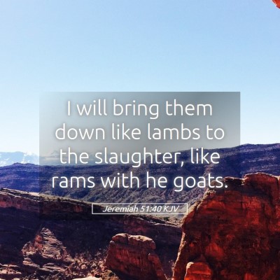Picture 05 - Jeremiah 51:40 KJV - I will bring them down like lambs to the - Bible Verse Picture