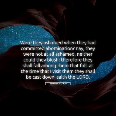 Picture 05 - Jeremiah 6:15 KJV - Were they ashamed when they had committed - Bible Verse Picture