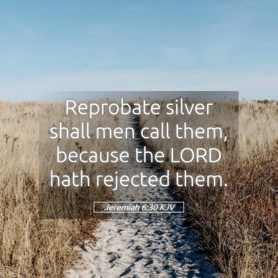 Picture 05 - Jeremiah 6:30 KJV - Reprobate silver shall men call them, because the - Bible Verse Picture