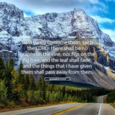 Picture 05 - Jeremiah 8:13 KJV - I will surely consume them, saith the LORD: there - Bible Verse Picture
