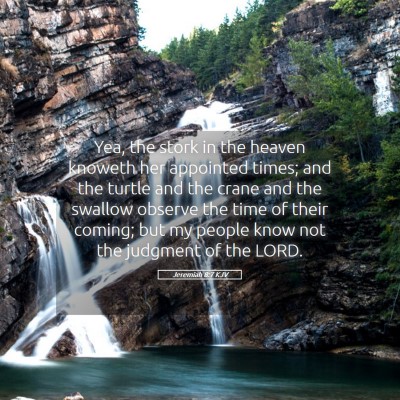 Picture 05 - Jeremiah 8:7 KJV - Yea, the stork in the heaven knoweth her - Bible Verse Picture