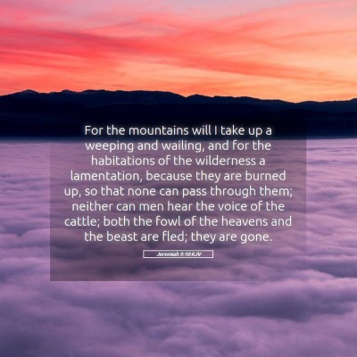 Picture 05 - Jeremiah 9:10 KJV - For the mountains will I take up a weeping and - Bible Verse Picture