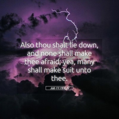Picture 05 - Job 11:19 KJV - Also thou shalt lie down, and none shall make - Bible Verse Picture