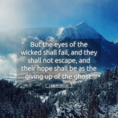 Picture 05 - Job 11:20 KJV - But the eyes of the wicked shall fail, and they - Bible Verse Picture