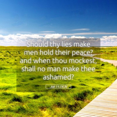 Picture 05 - Job 11:3 KJV - Should thy lies make men hold their peace? and - Bible Verse Picture