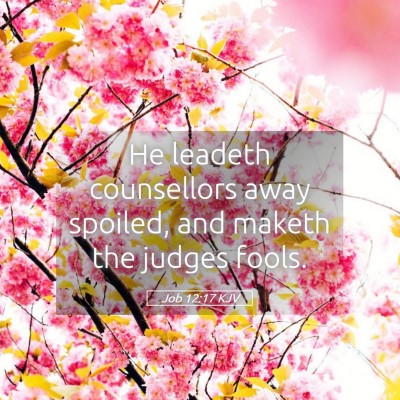 Picture 05 - Job 12:17 KJV - He leadeth counsellors away spoiled, and maketh - Bible Verse Picture