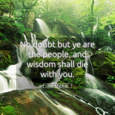 Picture 05 - Job 12:2 KJV - No doubt but ye are the people, and wisdom shall - Bible Verse Picture