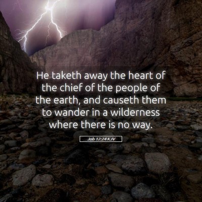 Picture 05 - Job 12:24 KJV - He taketh away the heart of the chief of the - Bible Verse Picture